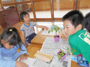 写真2　観察