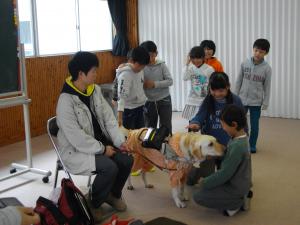 盲導犬