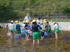 生き物調査の様子