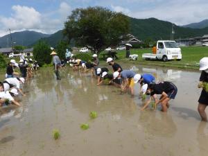 田植え2