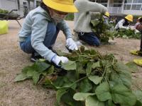 新井小学校ホームページ