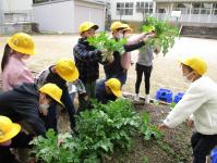 新井小学校ホームページ