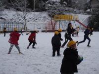 新井小学校ホームページ