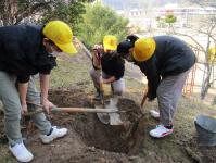 新井小学校ホームページ