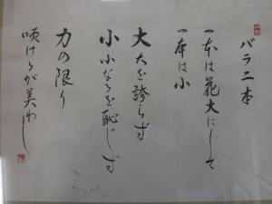 bara1