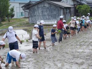 taue1