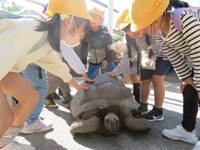 1年生 校外学習