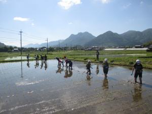 taue3