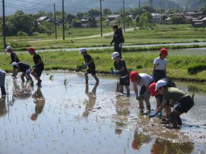 taue4