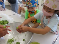 食育指導