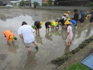5年生田植え