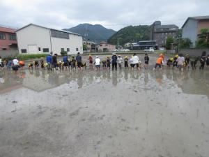 5年生田植え