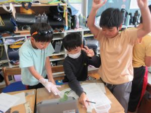 観察する３年生