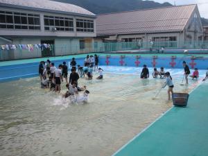 プール掃除