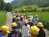 若松の見学