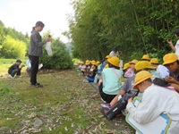 若松の見学