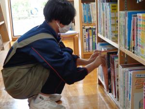 トライやる
