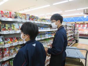 トライやる