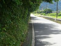 tuugakauro
