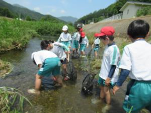 生き物調査をする3年生