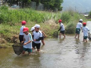 生き物調査をする3年生