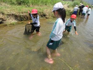 生き物調査をする3年生