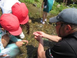 生き物調査をする3年生
