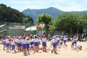 ５月3
