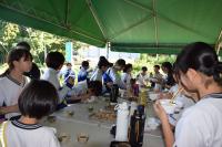 BBQ2