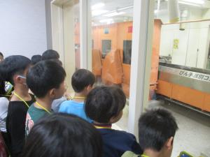分別の様子を見学