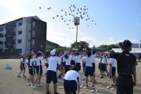体育祭練習2日目2