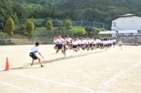 体育祭リハ3