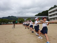 綱引き　予選