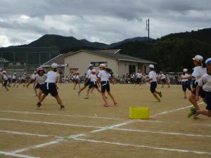 しっぽとり
