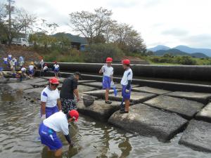 kawa4