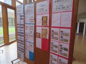 展示②