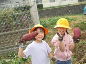 いもほり