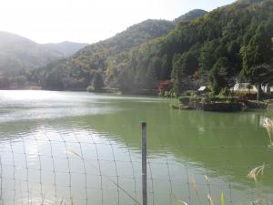 神池見学③