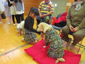 盲導犬