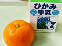 今日の給食
