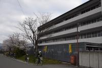 入学式2