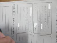 感想4