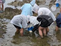 自然学校
