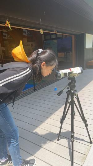 コウノトリの巣の大きさ