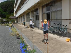 ホームページ