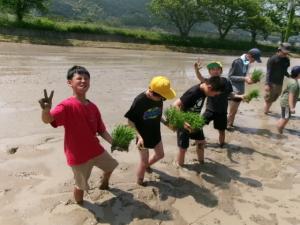 田植え5年生