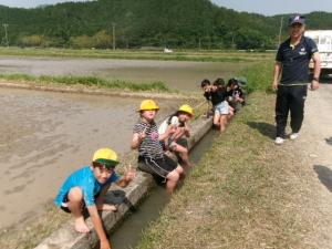 5年生田植え