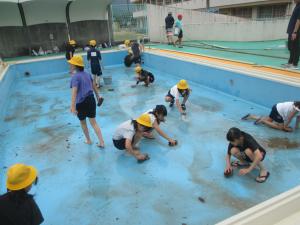 pool1