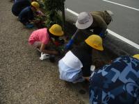 hanaue