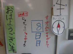 ３